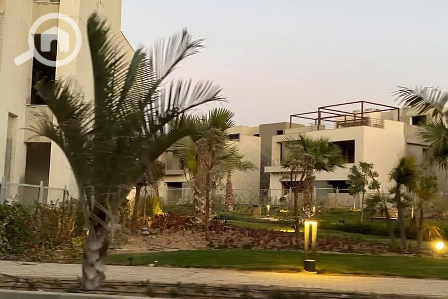 5 Background (2). png