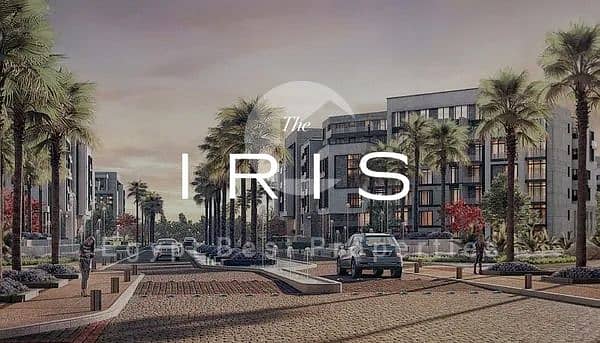 4 imgi_13_medium. jpeg