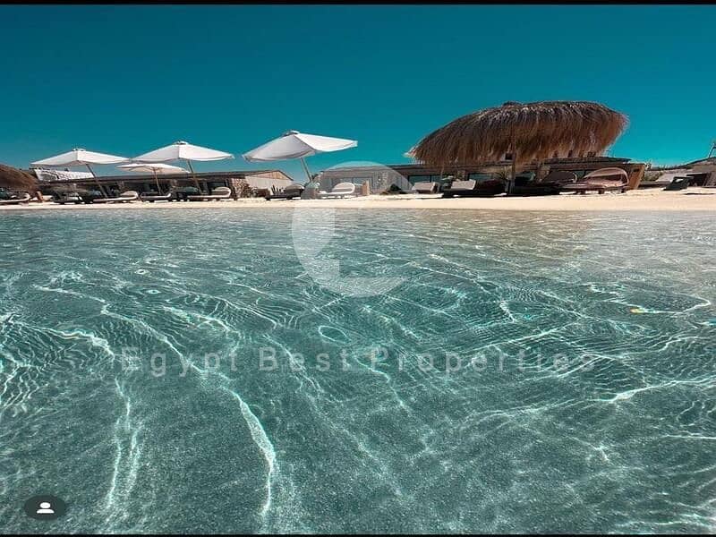 15 WhatsApp Image 2024-08-14 at 16.37. 48_7666080f. jpg