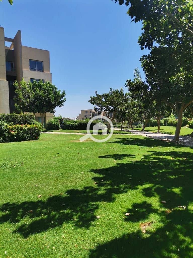 15 8d330d9d-a7c4-4590-8e01-7dc55c39d000. jpeg