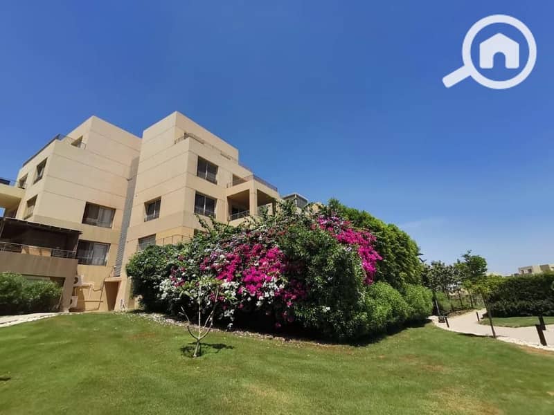 16 d059250f-2ff8-4aae-8cd4-5e2cc4d73fd3. jpeg