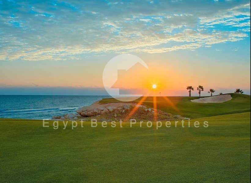 8 c10320b4-8b19-480a-841a-c1504930b5f2. jpeg