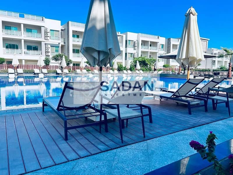 7 592955014_2065561054258874_4649248496818340966_n. jpg