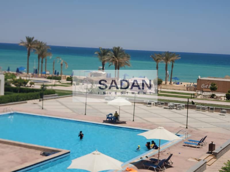 11 1818f76f-ae48-4c3a-935e-65080d480bf3. jpeg