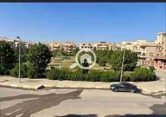 1000957873. jpg 1000957873. jpg