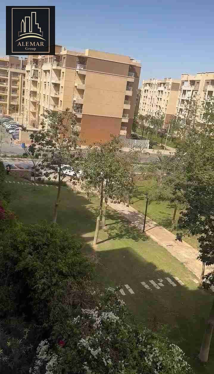 1000732565. jpg 1000732565. jpg