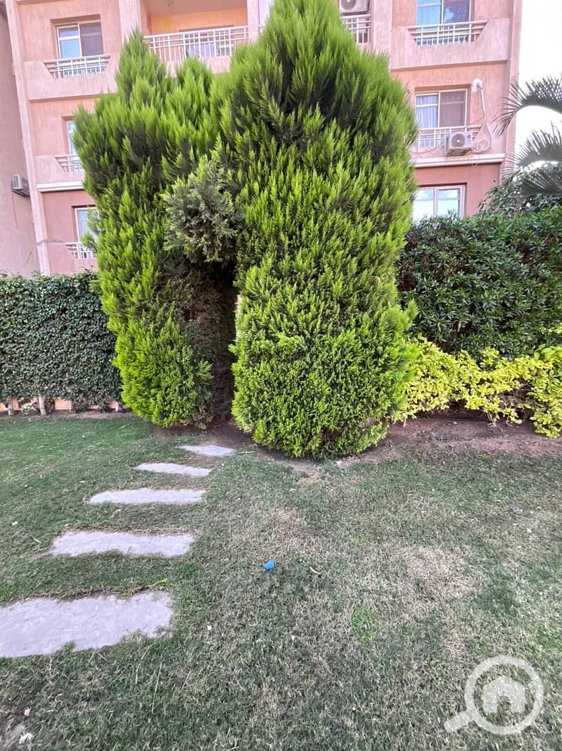 5 WhatsApp Image 2025-12-15 at 11.56. 07 AM (1). jpeg