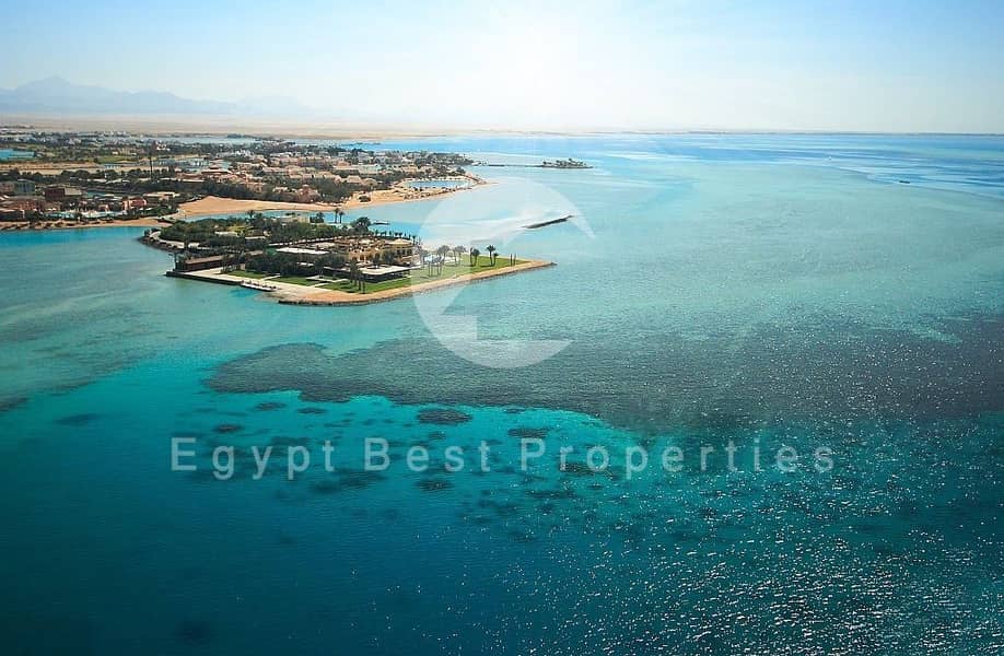 2 DeWatermark. ai_1758205024243. jpeg