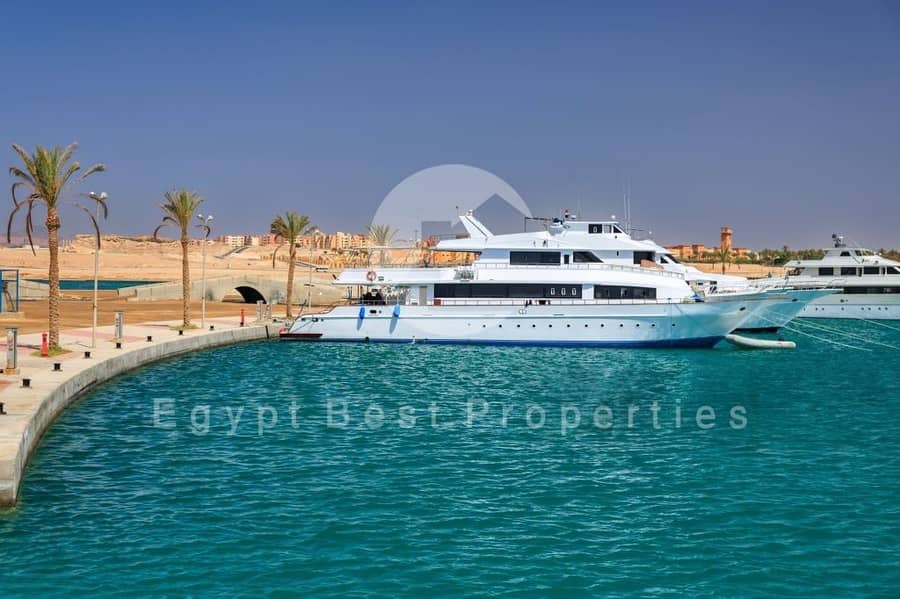 5 DeWatermark. ai_1758205257278. jpeg