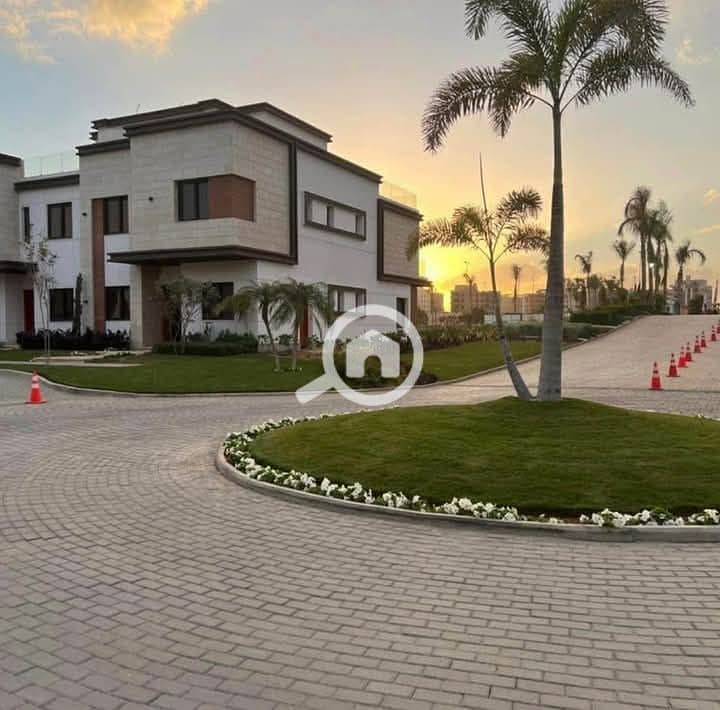 2 photo_2025-03-20_20-16-43 (2). jpg