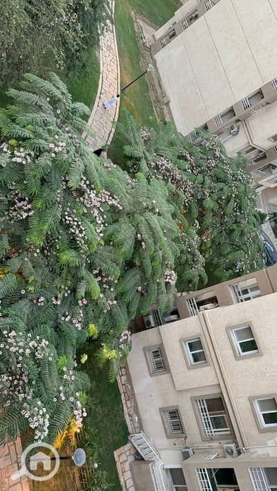 3 Bedroom Apartment for Sale in Madinaty, Cairo - WhatsApp Image 2025-12-15 at 6.43. 43 PM (1). jpeg 3 Bedroom Apartment for Sale in Madinaty, Cairo - WhatsApp Image 2025-12-15 at 6.43. 43 PM (1). jpeg