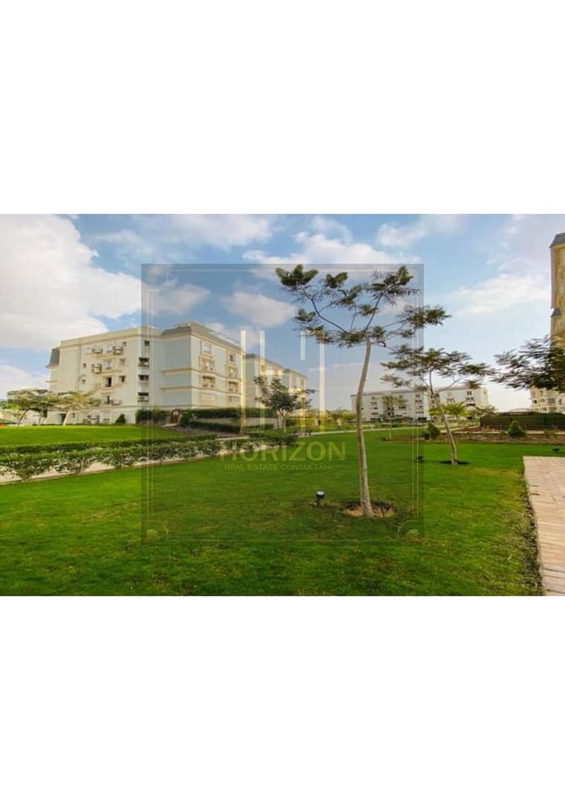 6 8410047-ff19co. jpg