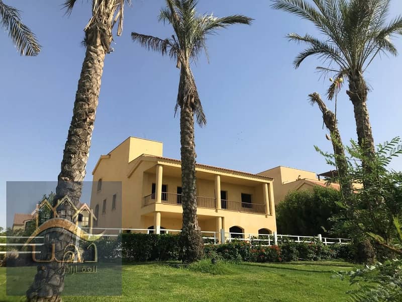 7 b1593625-6643-4110-8805-12501b6ea3e5. jpg