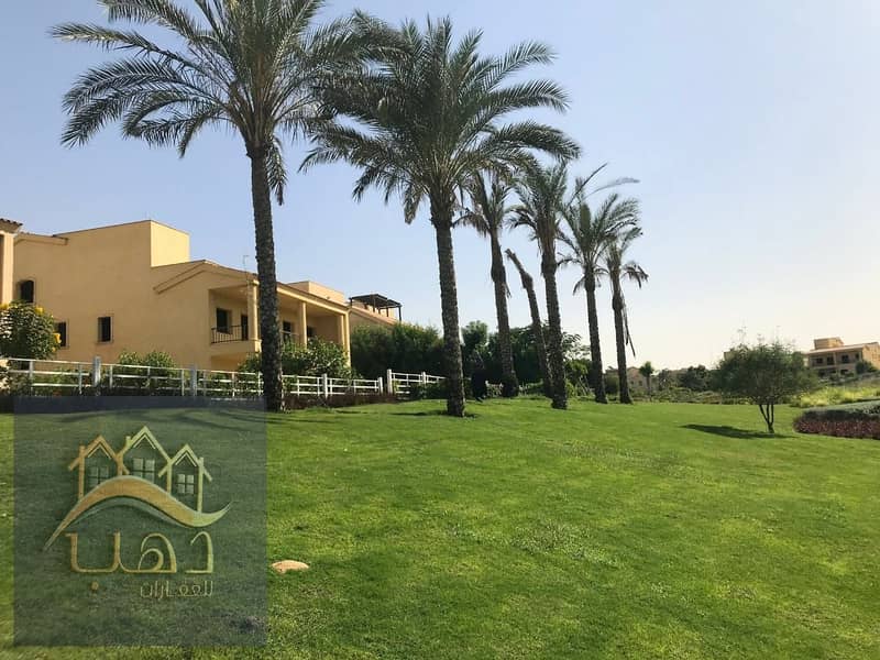 8 06161f23-d1c3-4d7c-98cd-a2e6cb788b1d. jpg