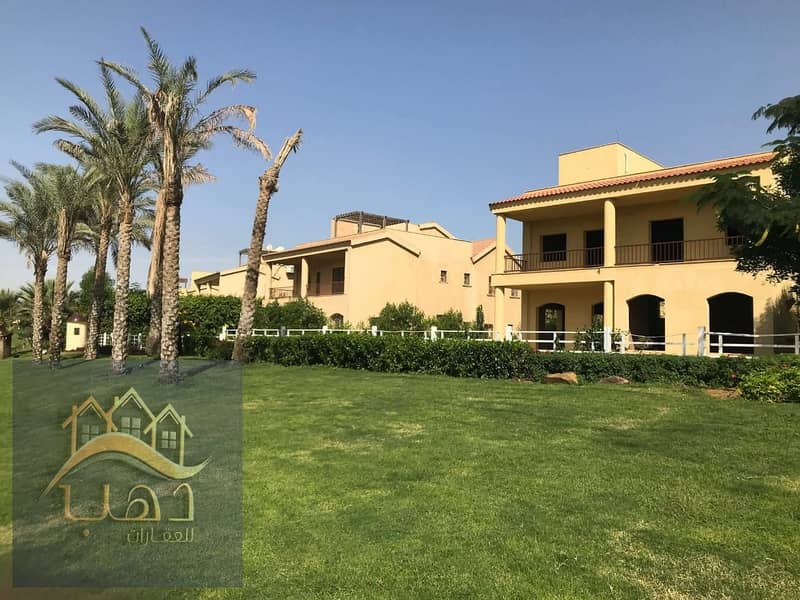 11 08e50c43-0841-4c40-af42-bedfe4a98f6f. jpg