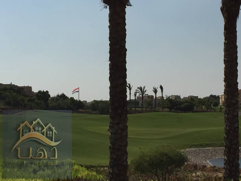 14 1e09f299-e464-4572-9449-a1a0c6131963. jpg