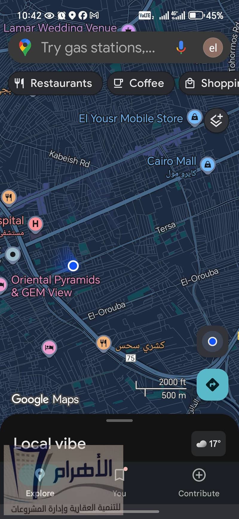 7 595690639_2636469506720259_3686613778122800572_n. jpg