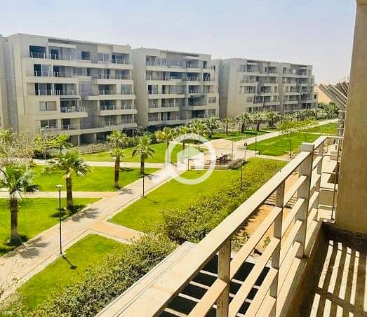 10 IMG_7608 (2). jpg