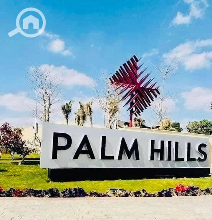 12 IMG_7618 (2). jpg