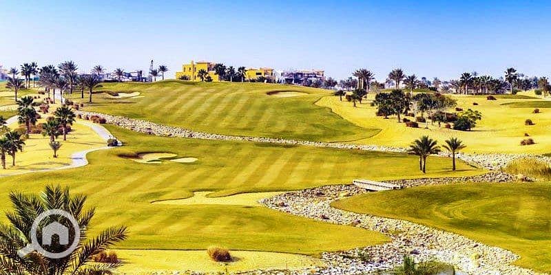 13 photo_6_2025-01-30_17-23-50. jpg