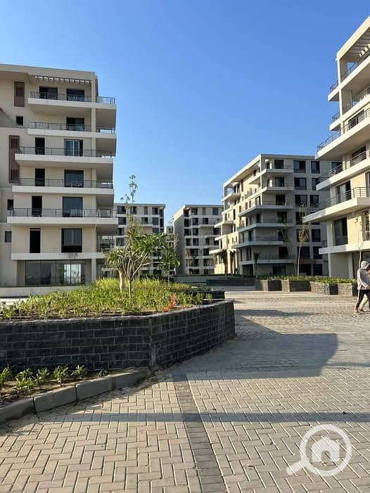 7 547265154_122112501470988780_3793340076458894139_n. jpg