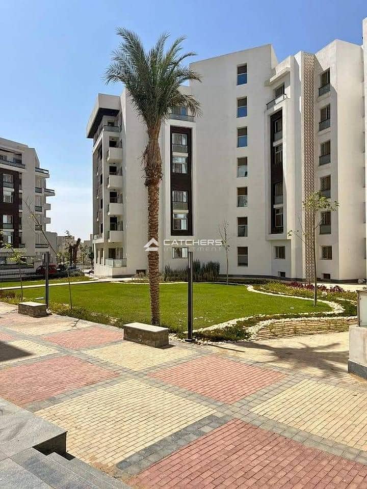 12 596922476_10161794279261513_89759060319080448_n. jpg