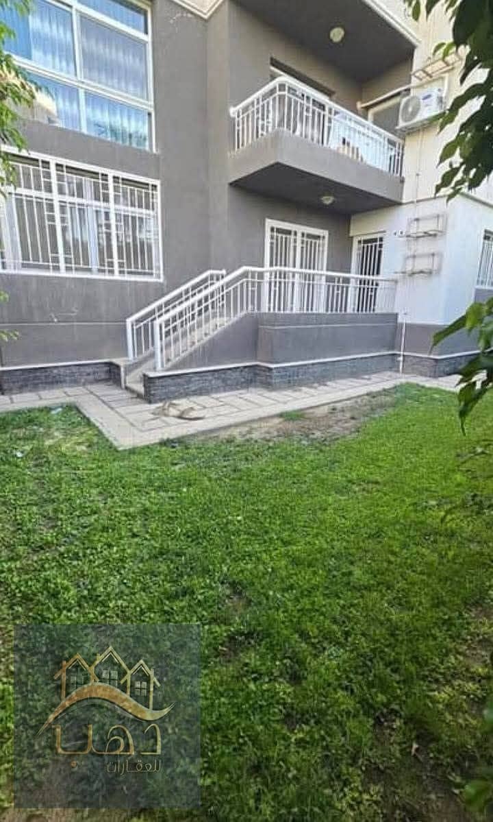 3 dbfee93e-f48c-40b6-bae1-0a958b8c614c. jpg