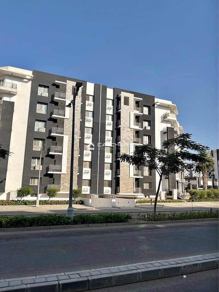 10 568257695_1888012065111825_8909204114877838690_n. jpg