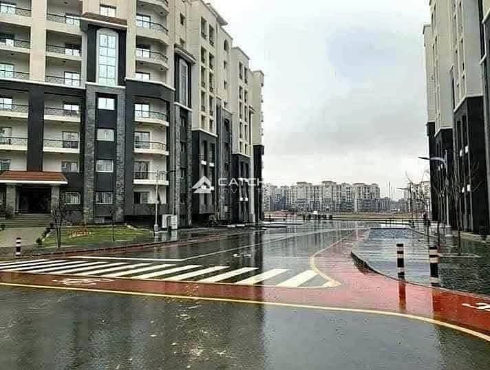 12 582842500_1183739563743602_1957937014427637424_n. jpg