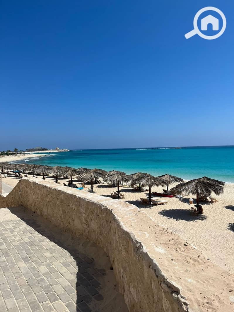 10 photo_2025-02-19_20-06-22. jpg