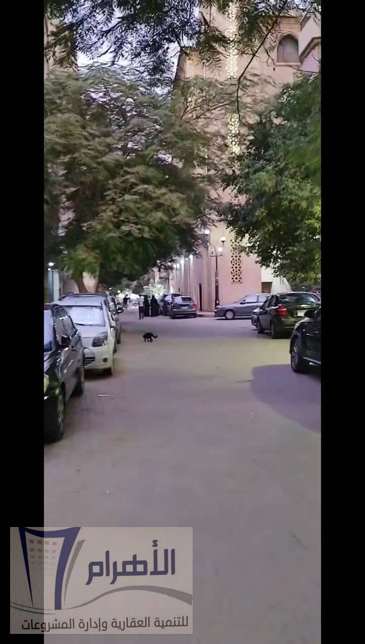 3 snapsave-app_2977421032451859_hd. mp4_000031633. png