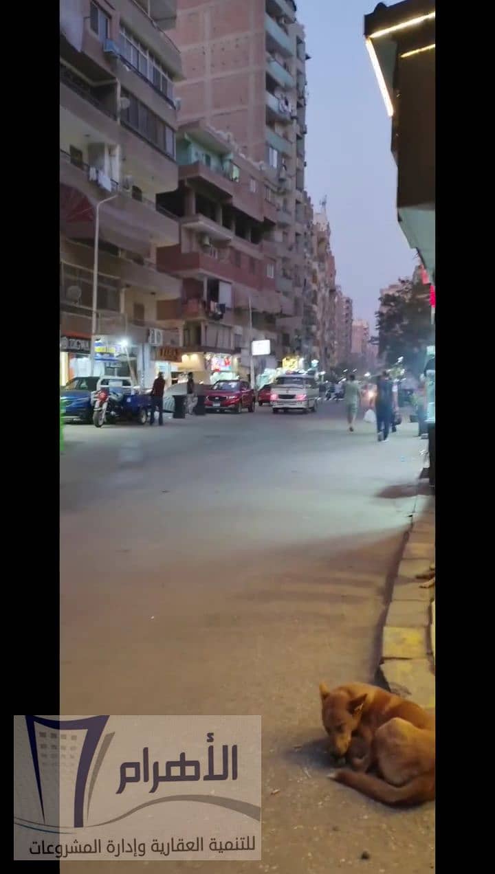 5 snapsave-app_2977421032451859_hd. mp4_000105500. png