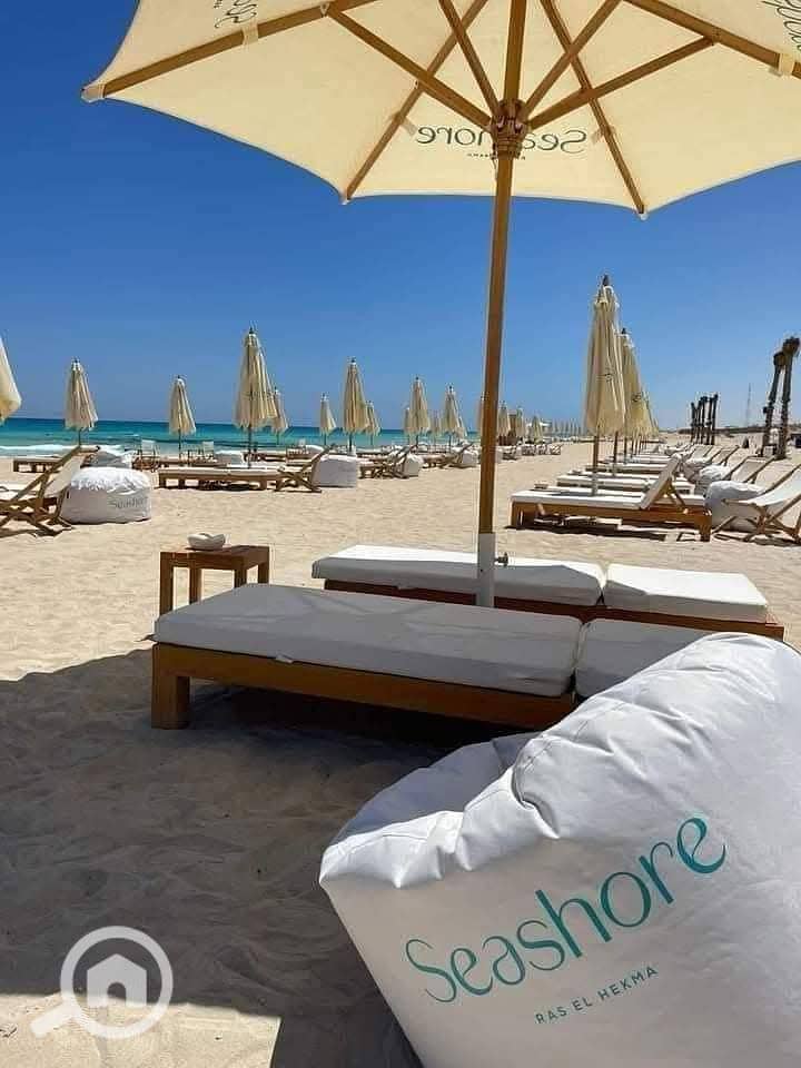 9 photo_2025-03-27_23-36-39 (4). jpg