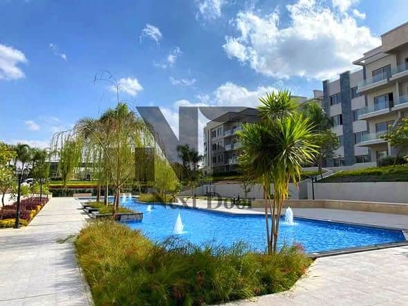 8 555660678_122186531978454983_6115069066785602909_n. jpg