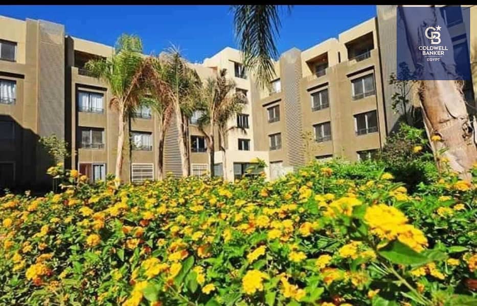 5 432925259_8114537031906976_5049913784544016616_n. jpg