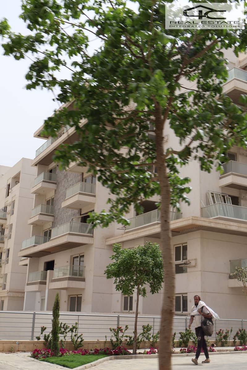 IMG_1803. JPG IMG_1803. JPG