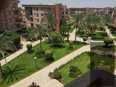 فلیٹ 2 غرفة نوم للايجار في القاهرة الجديدة، القاهرة - صورة واتساب بتاريخ 1447-06-19 في 09.51. 20_0bffc826. jpg