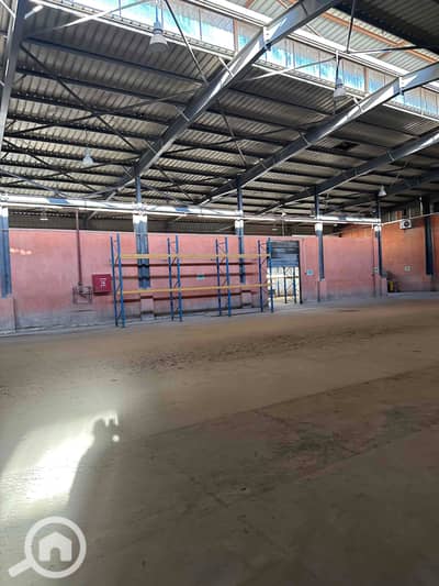 مستودع  للايجار في العامرية، الإسكندرية - IMG_4212. jpg