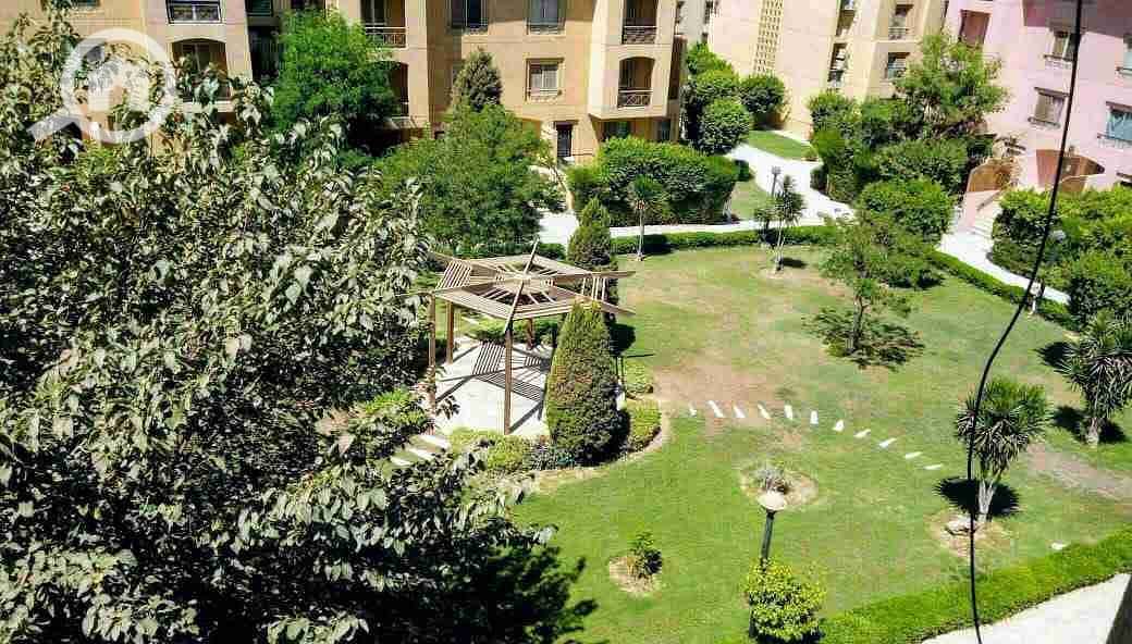 1000672866. jpg 1000672866. jpg