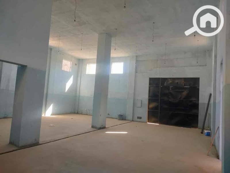 4 70f7128a-c60f-456f-a559-68029438d3a7. jpg