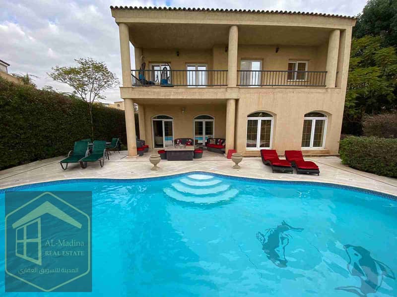 1000536081. jpg 1000536081. jpg