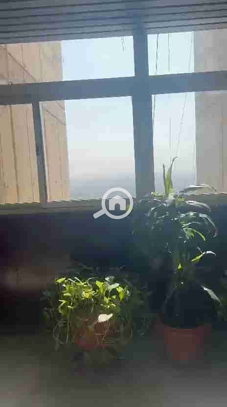 1000337850. jpg 1000337850. jpg