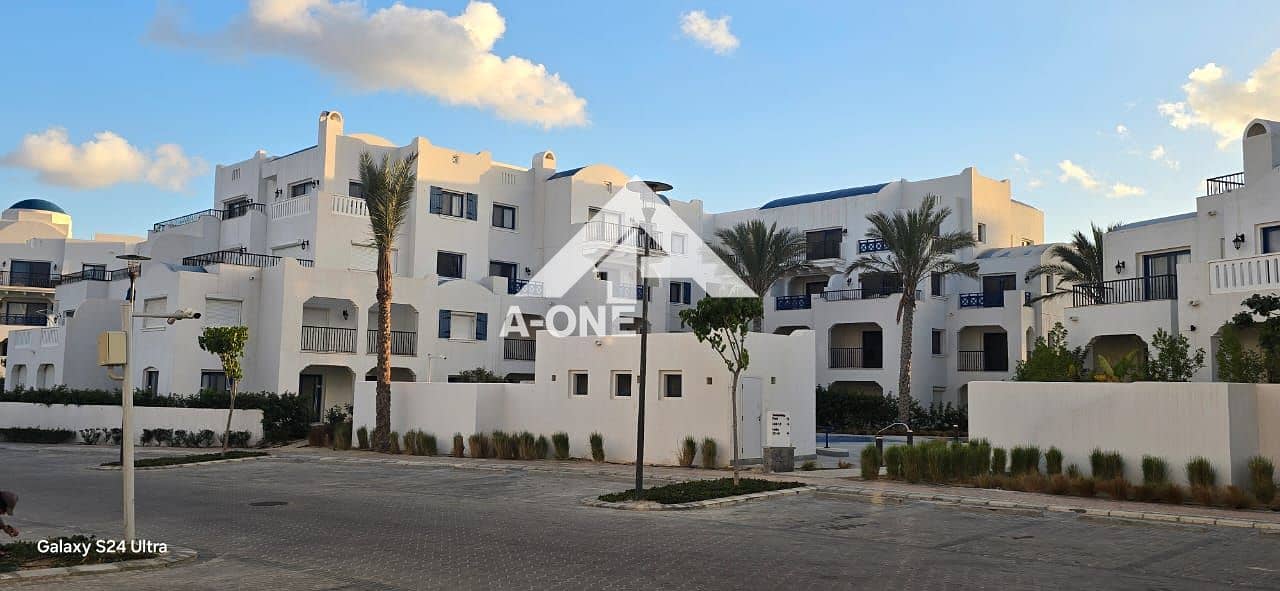 4 0098bfe7-7cd9-4d79-9513-c271009f4472. jpg