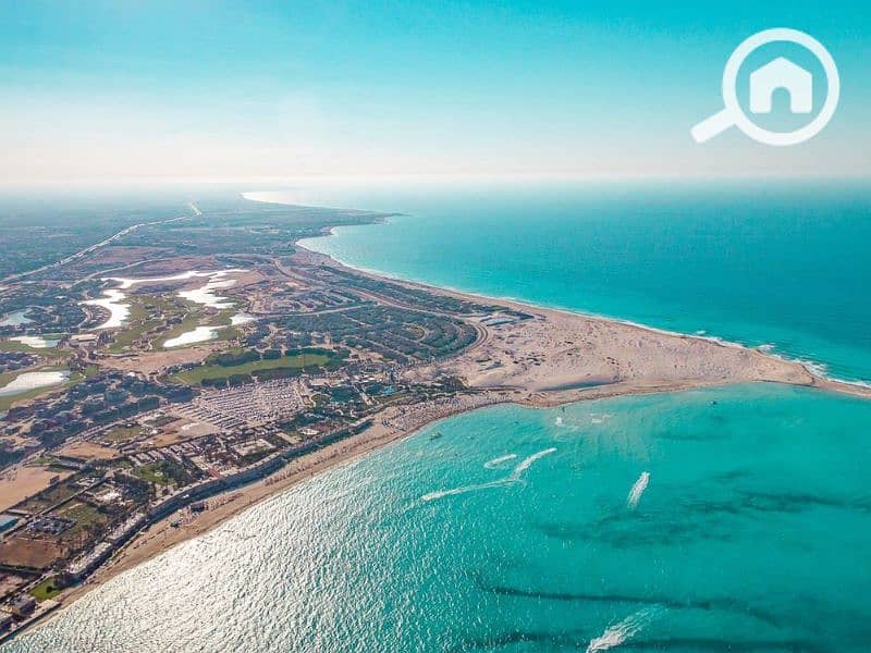 9 Untitled design (20) - Copy - Copy. png