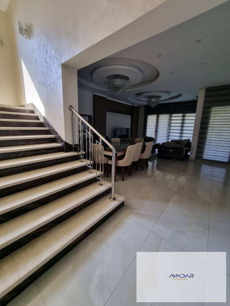 15 9268778f-b08d-4c03-be05-5dda3fb7cad8. jpg