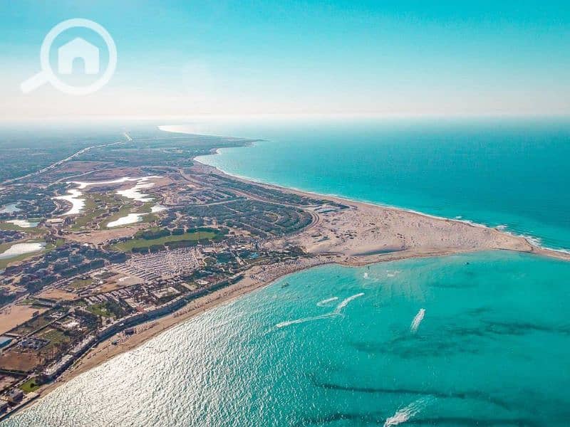 7 Untitled design (20). png