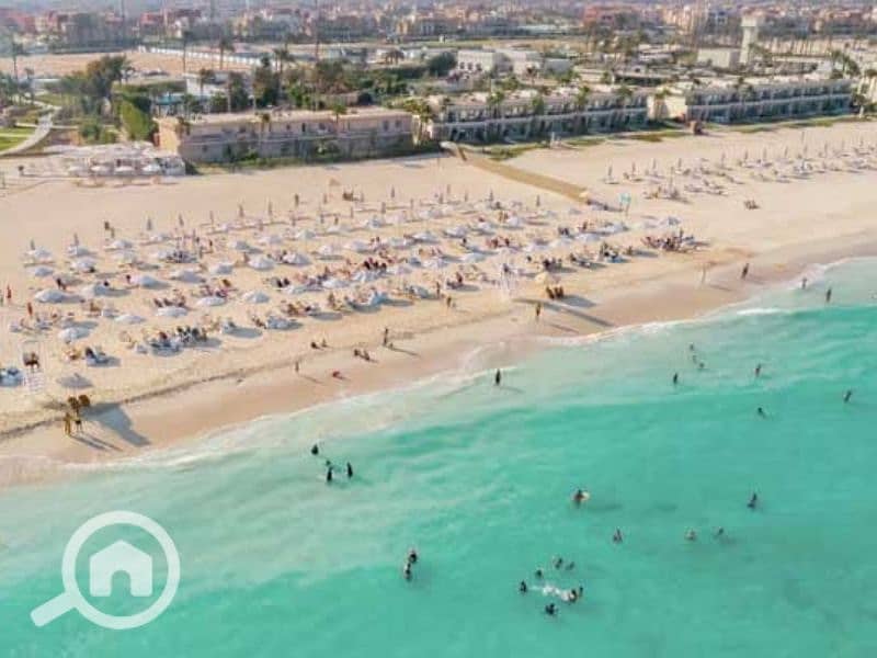 6 Untitled design (23) - Copy. png