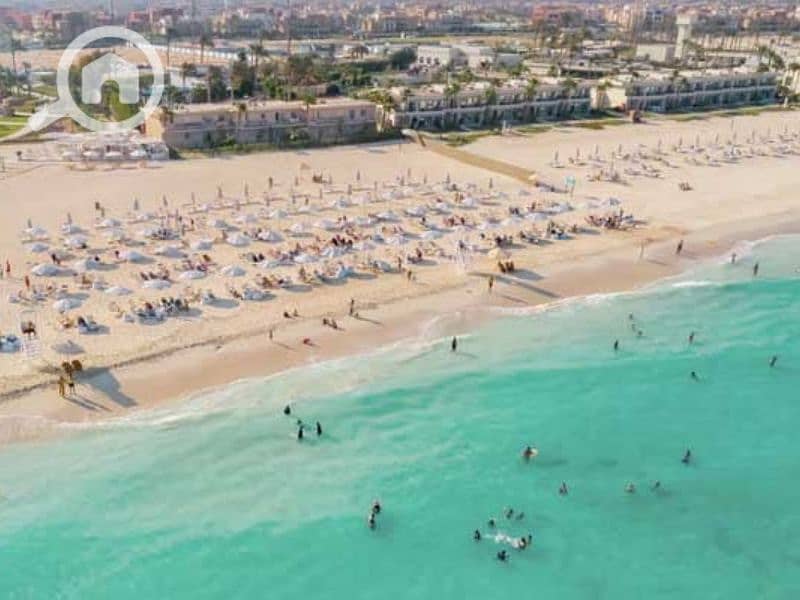 8 Untitled design (23) - Copy. png