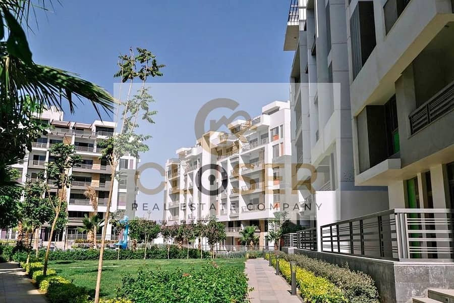 4 426826276_7174838045933587_289609014057403310_n. jpg