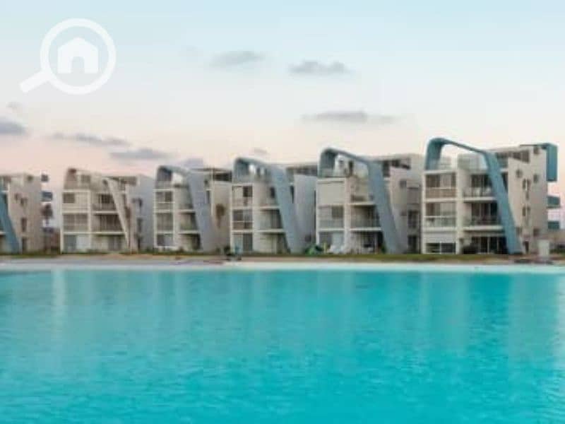 5 Untitled design (90). png